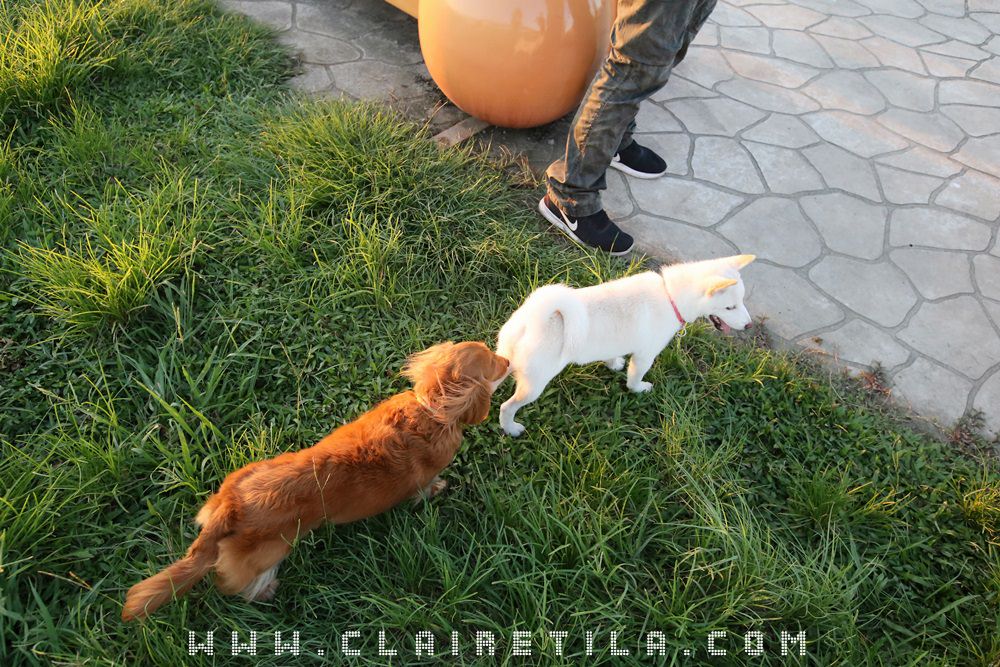 20251024-12j1b 20251024-12j1b