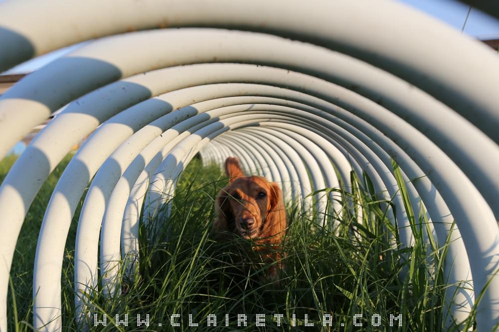 20251024-490jf 20251024-490jf