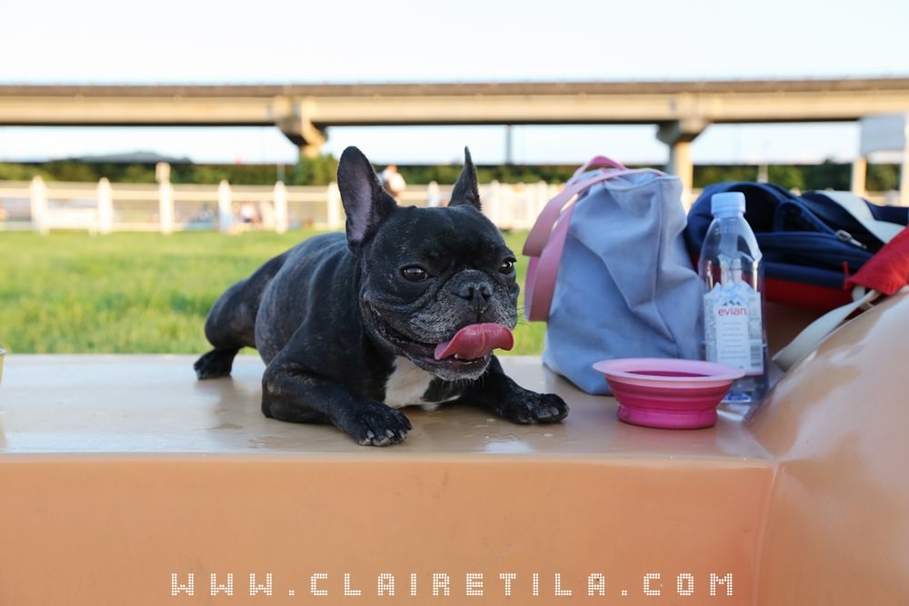 20251024-9qp9w 20251024-9qp9w