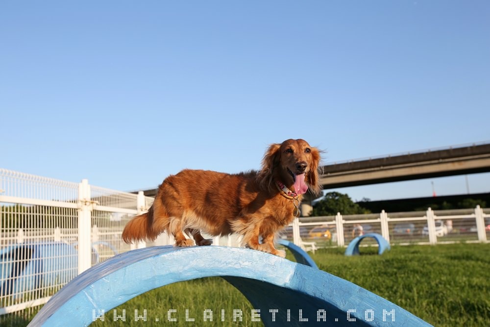 20251024-cqmog 20251024-cqmog