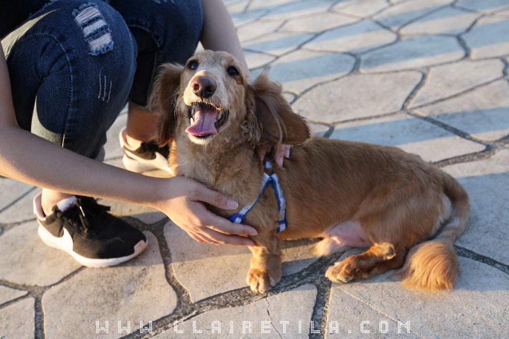 20251024-fzb4a 20251024-fzb4a