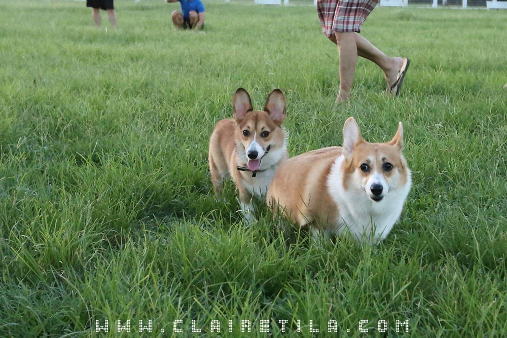 20251024-jedo3 20251024-jedo3