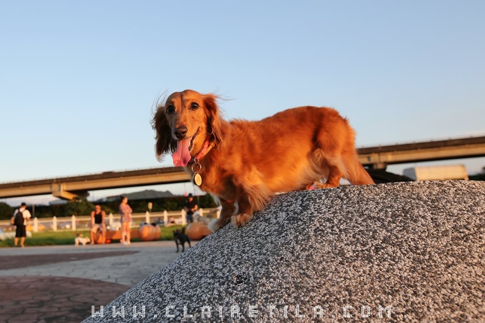 20251024-naid2 20251024-naid2