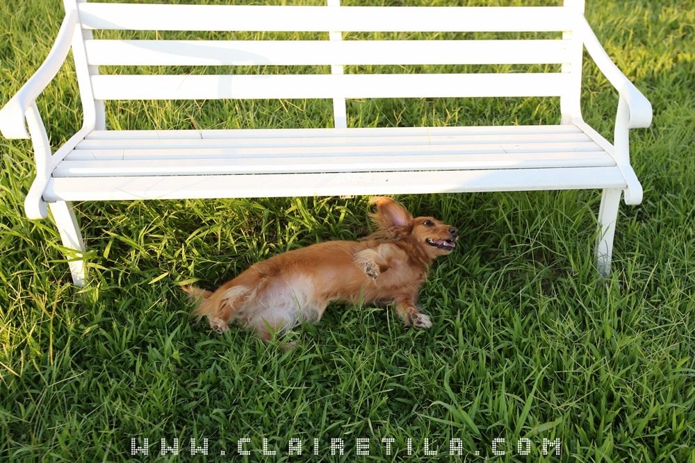 20251024-od1i1 20251024-od1i1