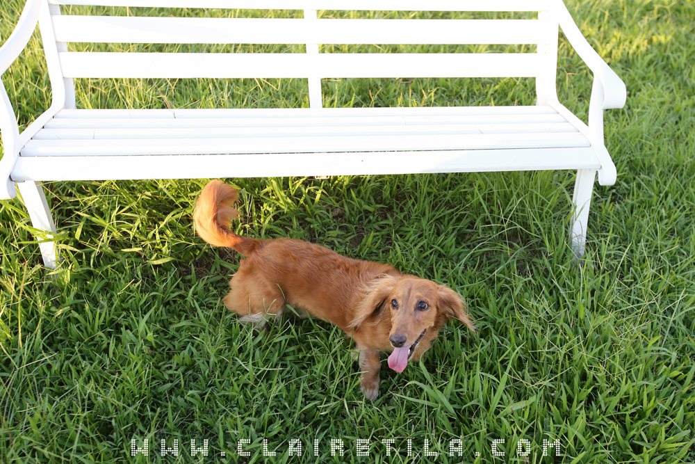 20251024-qnpj5 20251024-qnpj5