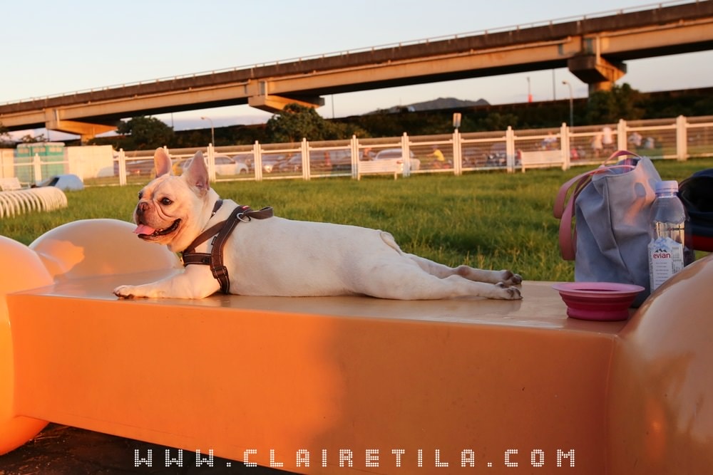 20251024-rx93y 20251024-rx93y