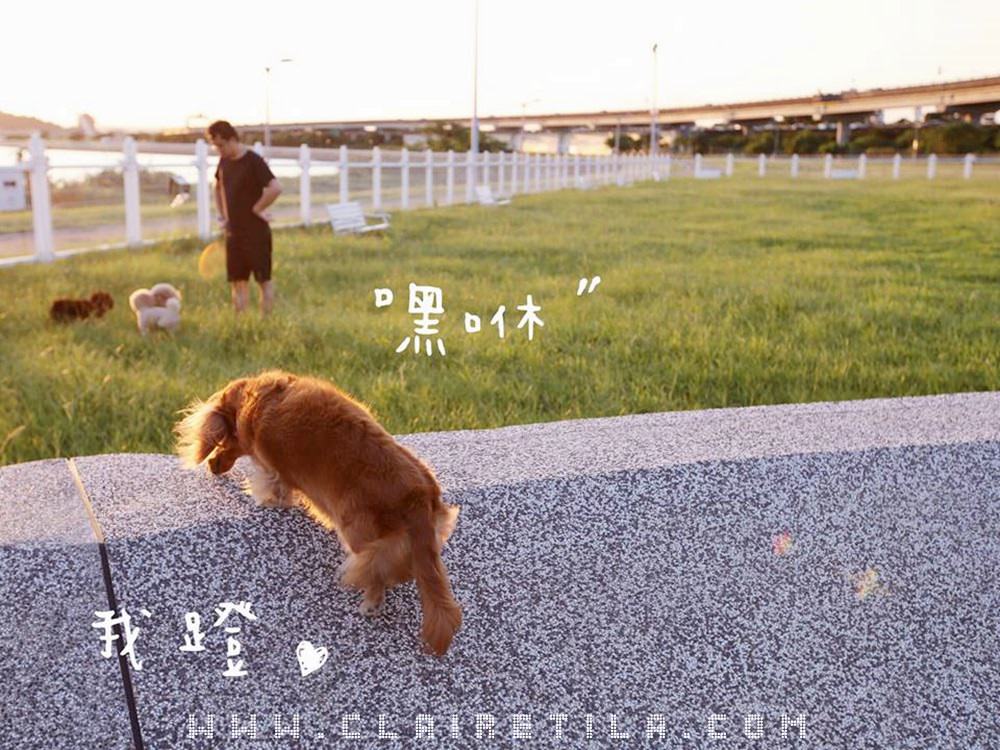 20251024-u2p9r 20251024-u2p9r