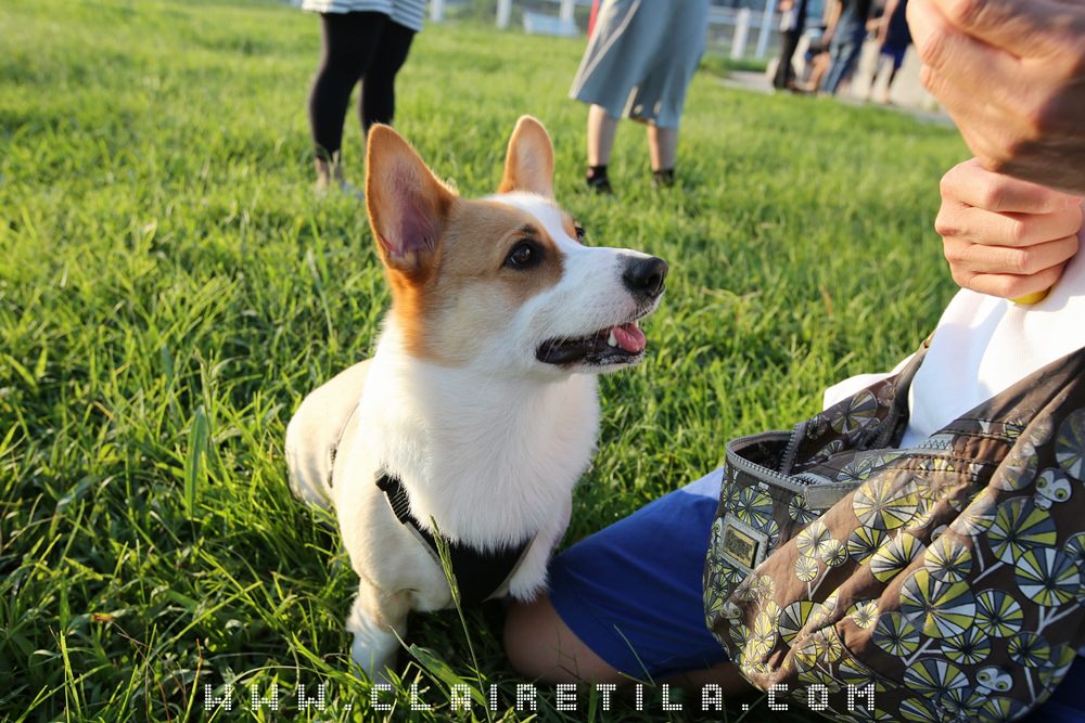 20251024-wbqy5 20251024-wbqy5