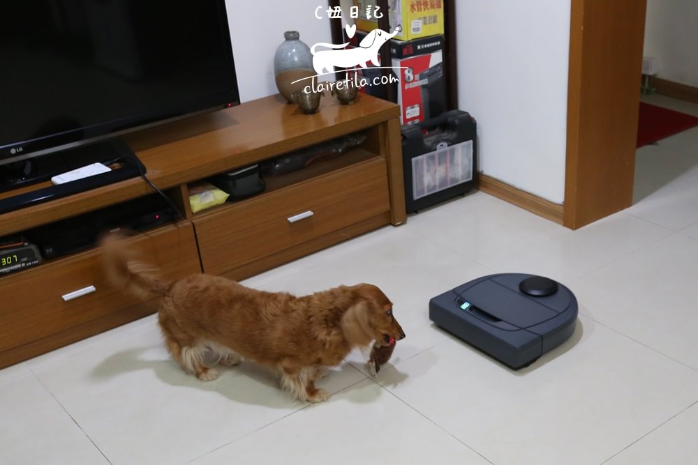 20251024-pgo9b 20251024-pgo9b