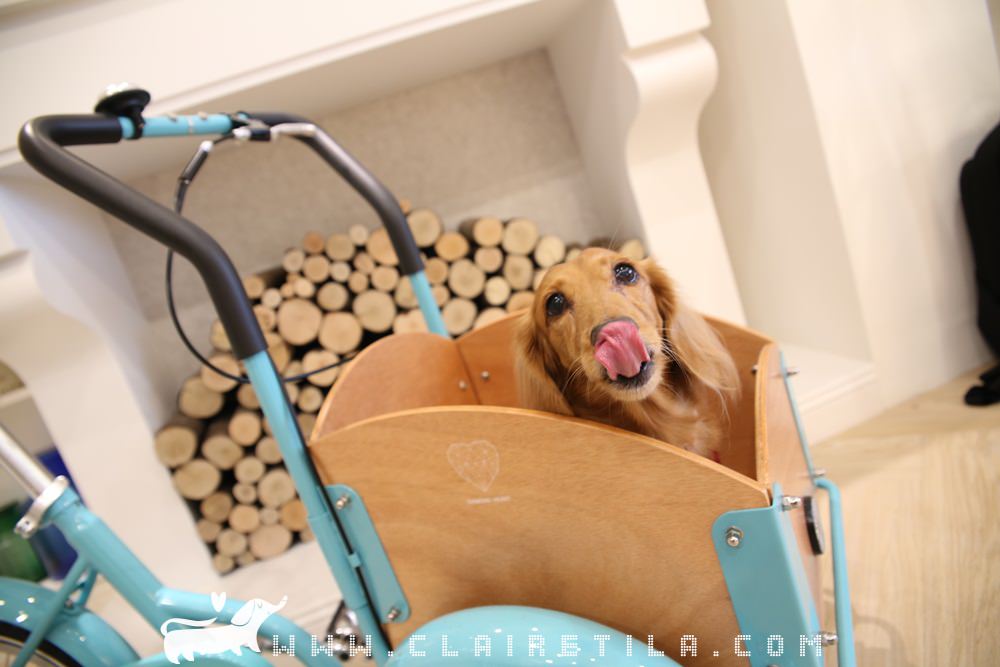 20251024-6chx1 20251024-6chx1