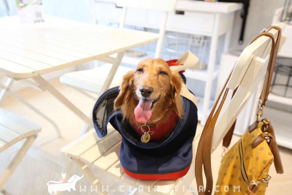 20251024-miy4g 20251024-miy4g