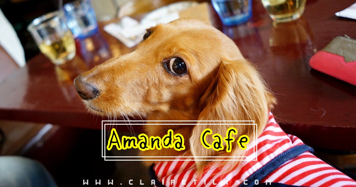 淡水咖啡廳》老街裡的套餐與下午茶！Amanda Cafe‧寵物友善餐廳♥♥