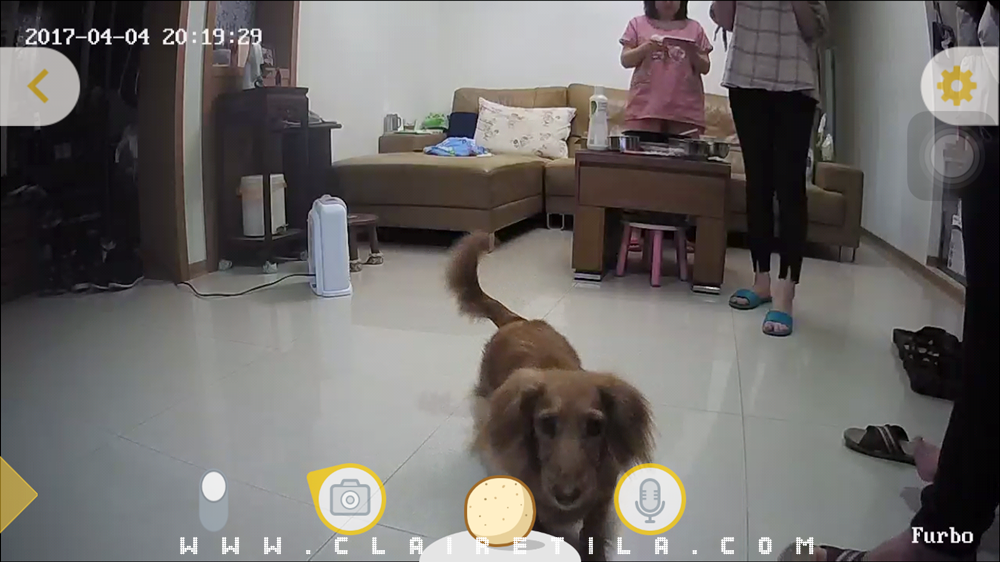 寵物攝影機》遠端互動丟零食！Furbo 狗狗攝影機監視器♥♥