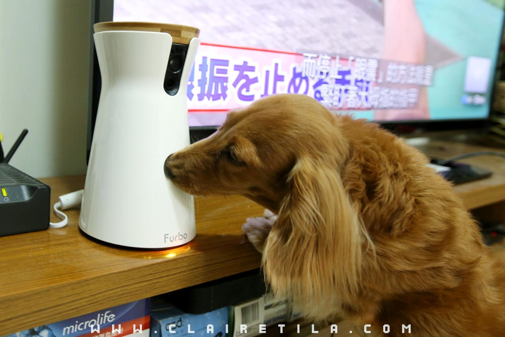 寵物攝影機》遠端互動丟零食！Furbo 狗狗攝影機監視器♥♥