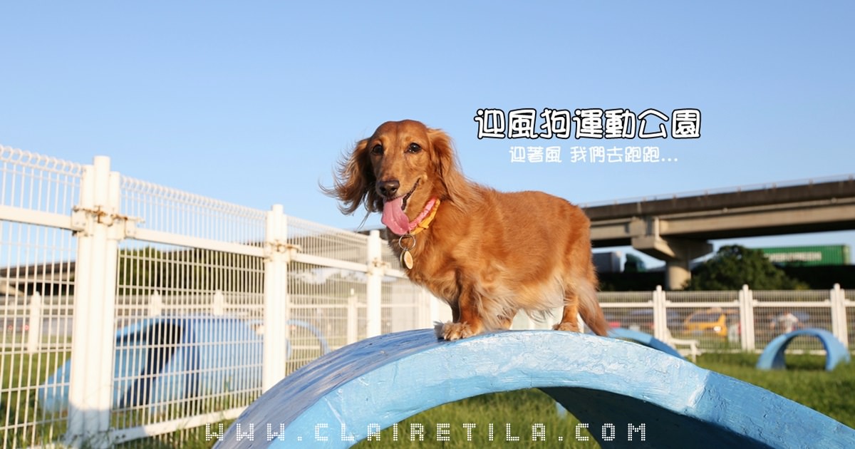 溜毛小孩》台北-迎風狗運動公園！狗狗社交聖地♥♥