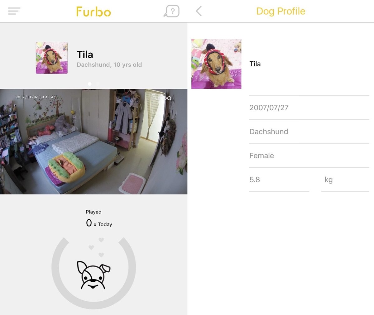 Furbo狗狗攝影機》大揭密！狗狗獨自在家的時光都在做什麼？寵物監視器♥♥