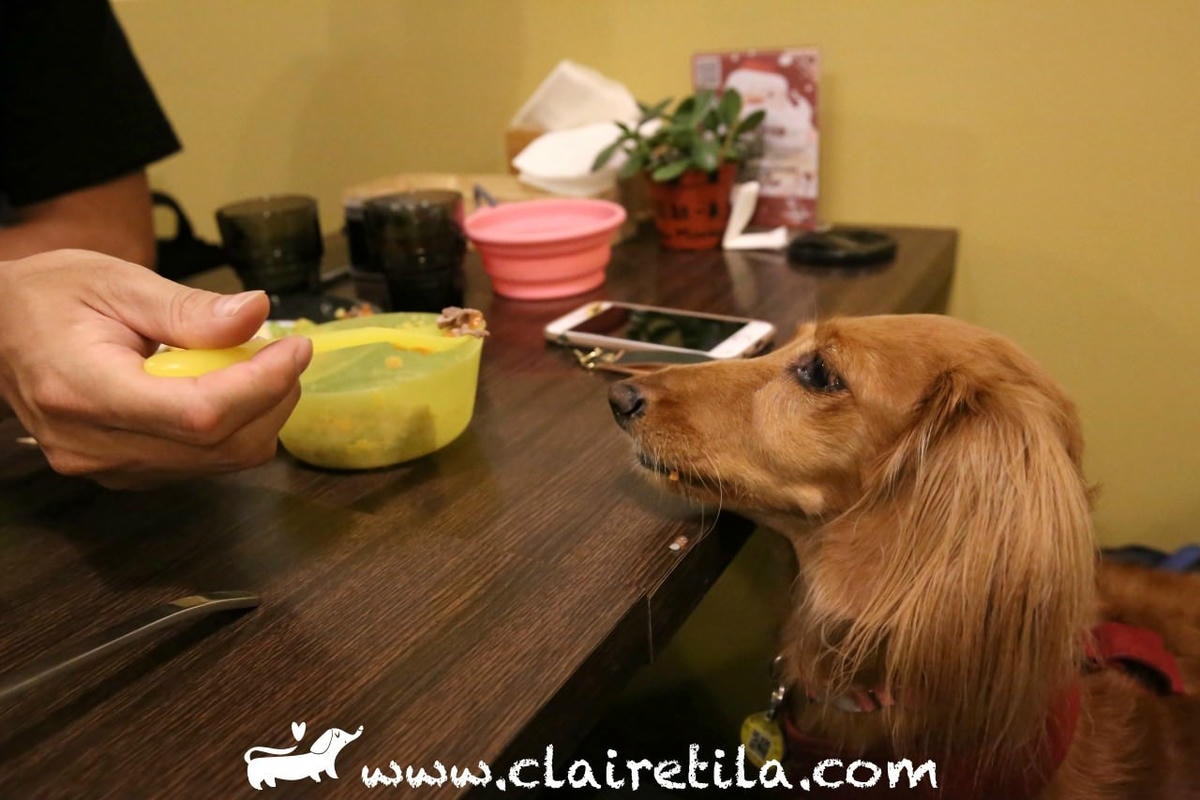 20251024-e9g85 20251024-e9g85