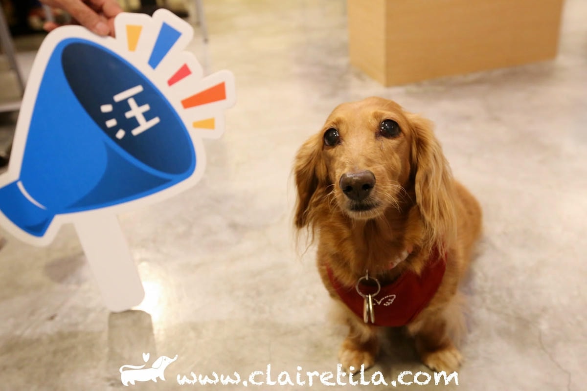 20251024-g7p31 20251024-g7p31