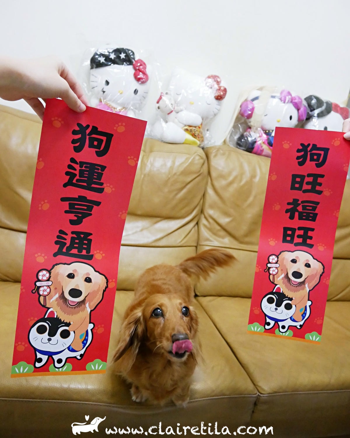 20251024-d42mb 20251024-d42mb