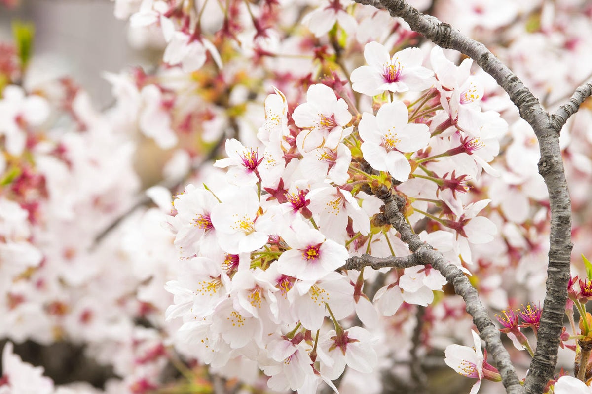 20251024-mzmvj 20251024-mzmvj