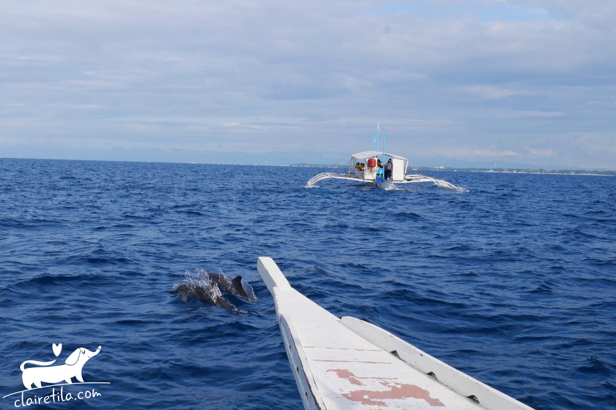 20251024-0akbn 20251024-0akbn