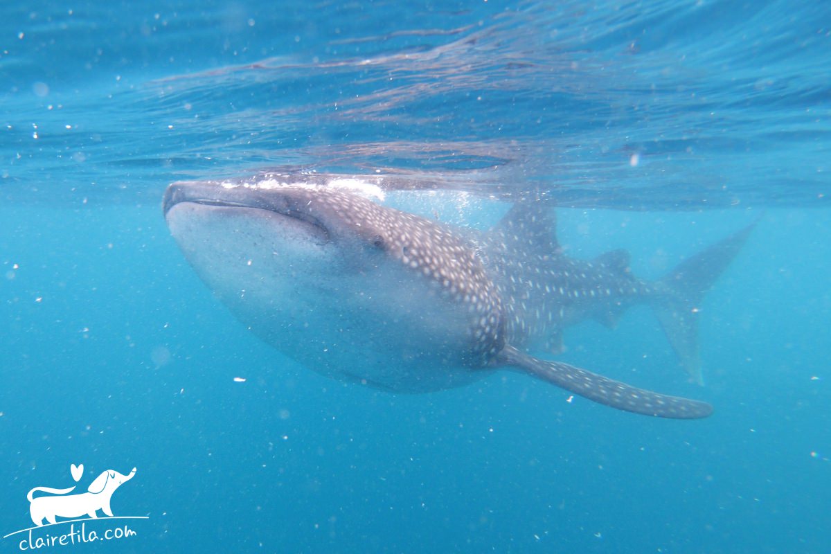 20251024-1ov94 20251024-1ov94