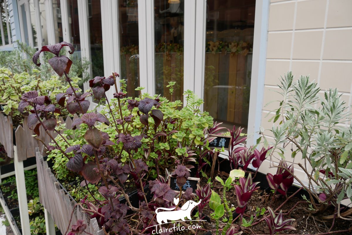 20251024-4yp2s 20251024-4yp2s