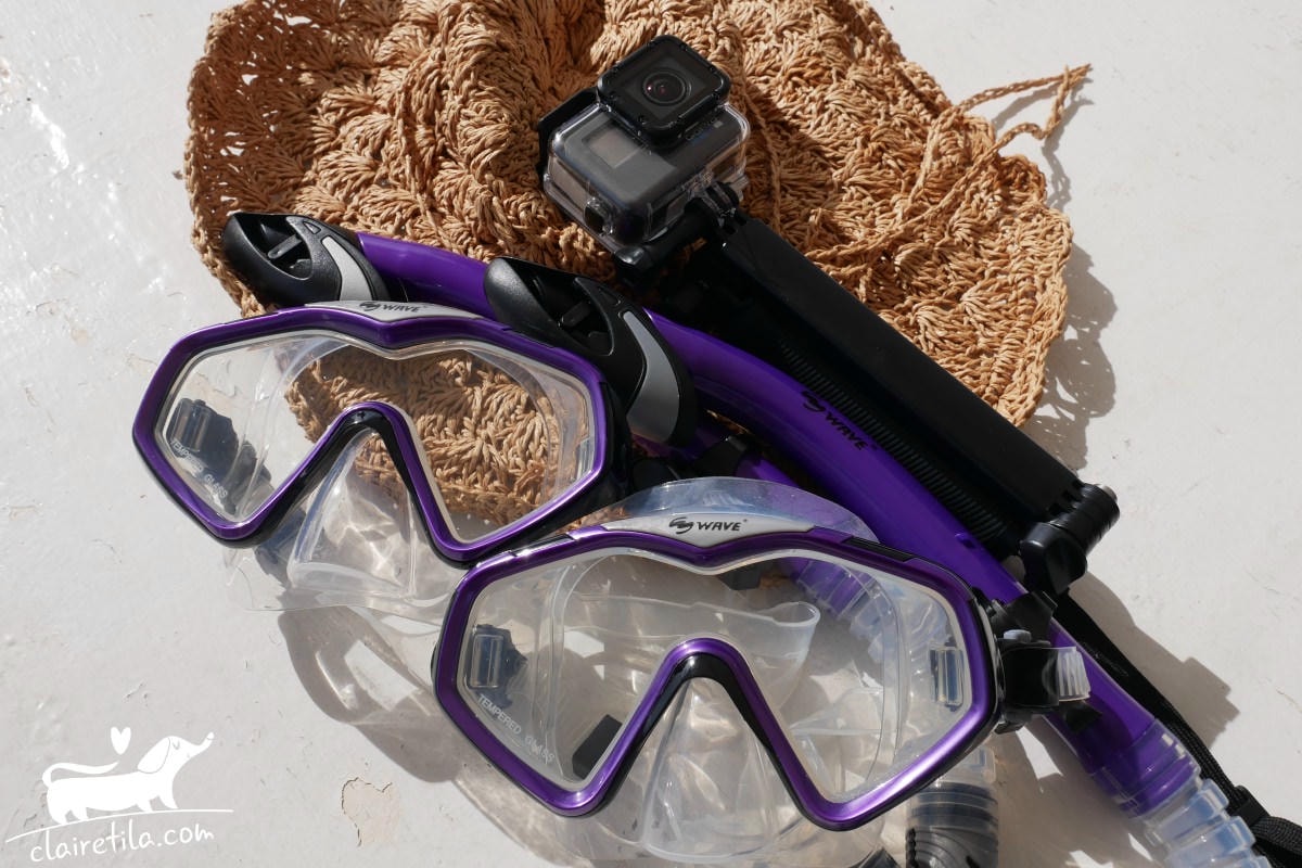 20251024-5ggs4 20251024-5ggs4