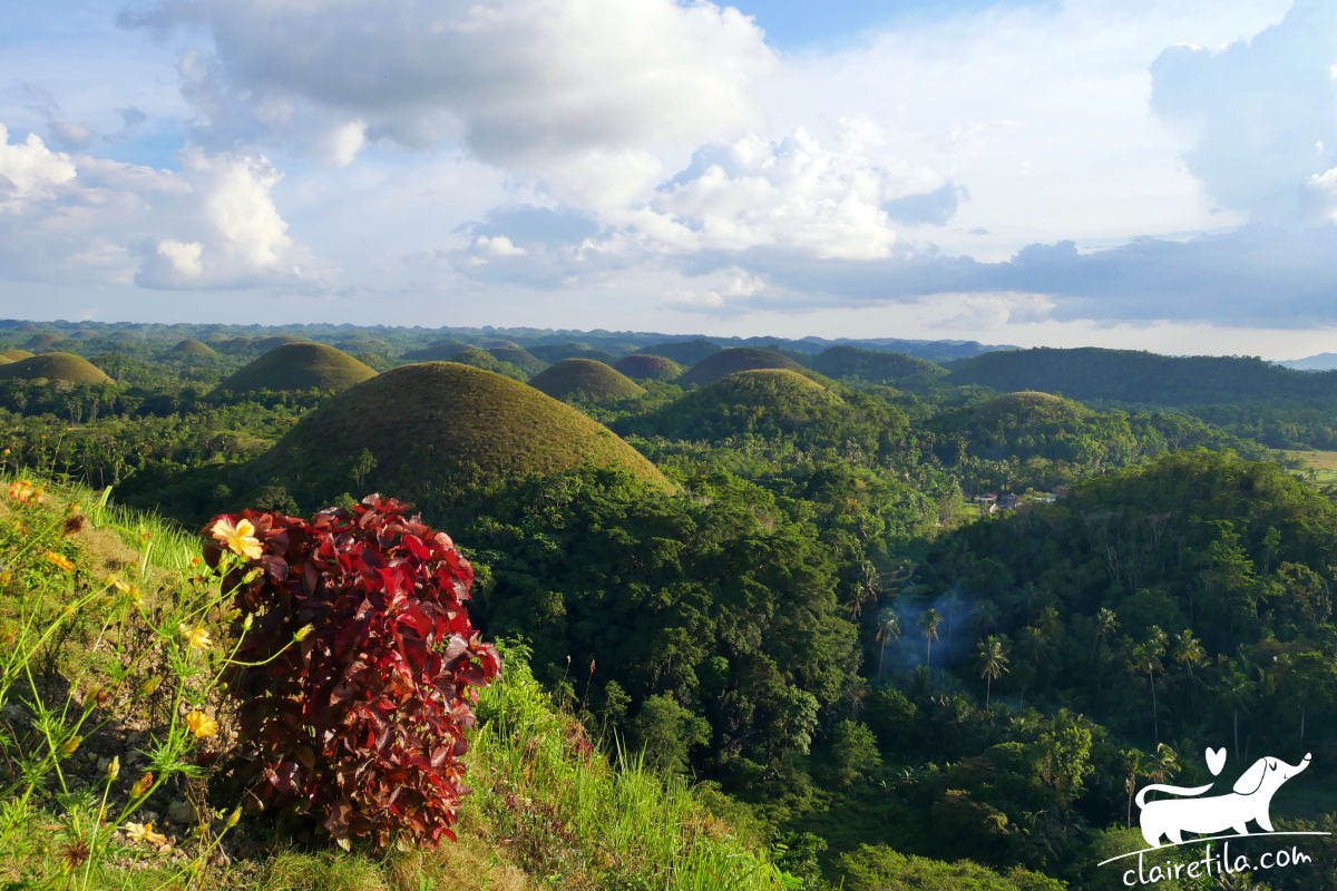 20251024-femfj 20251024-femfj