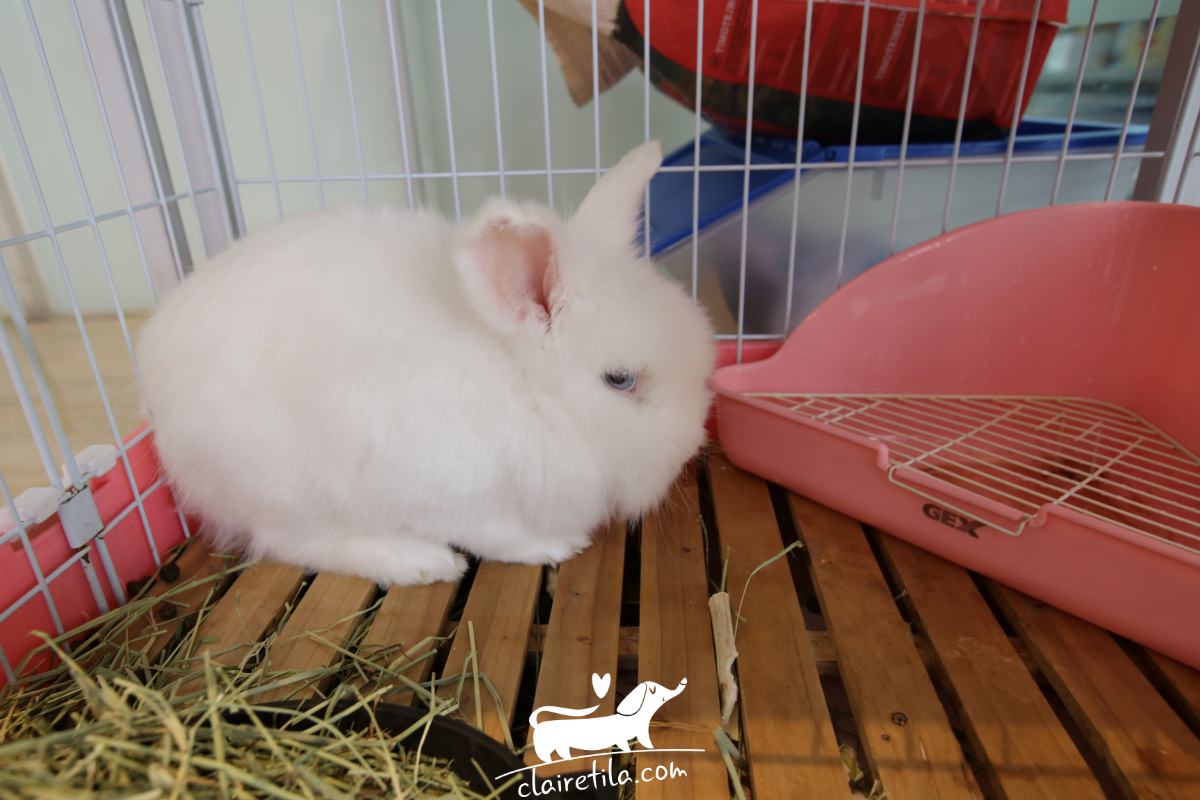 20251024-gedht 20251024-gedht