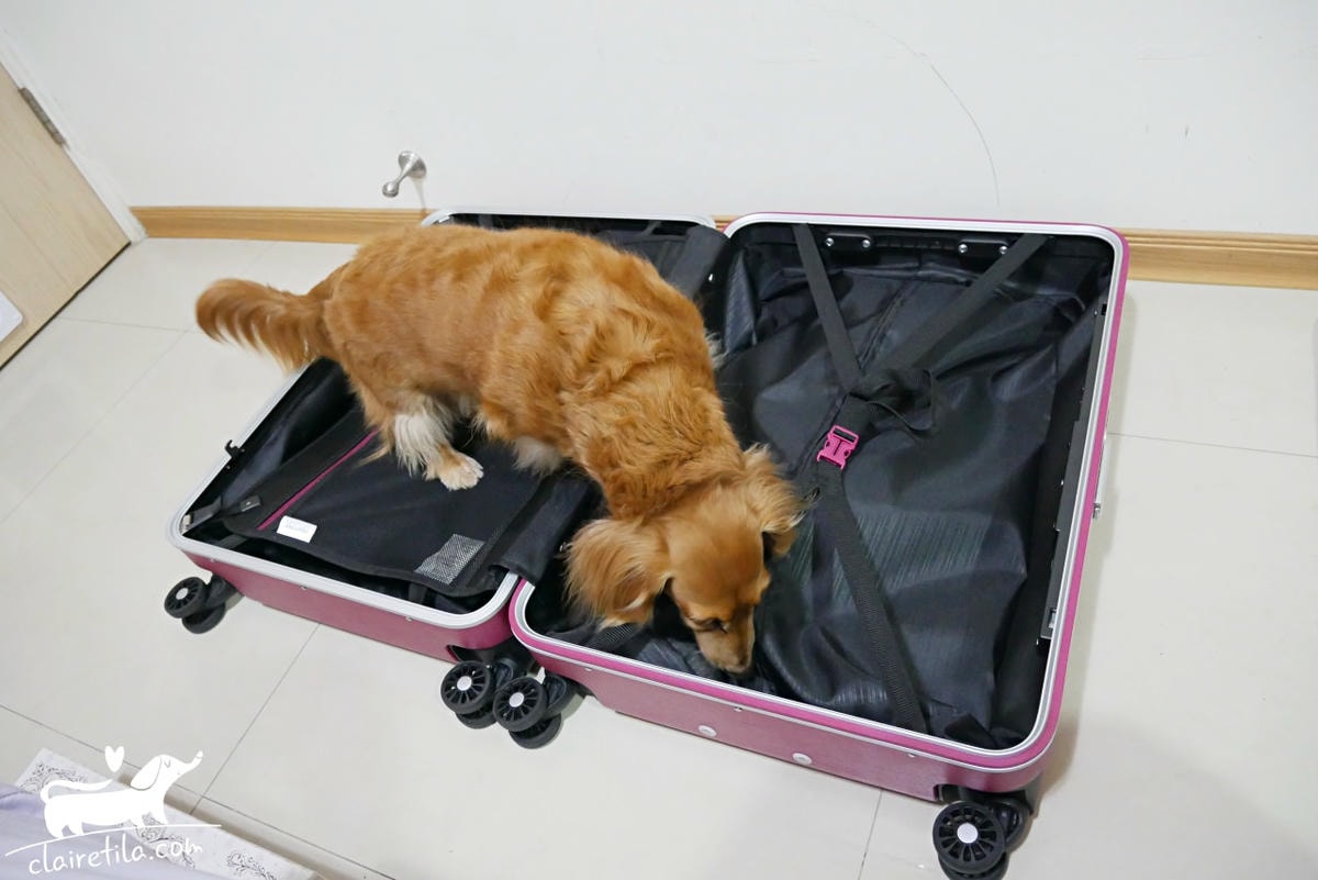 20251024-ik9s5 20251024-ik9s5