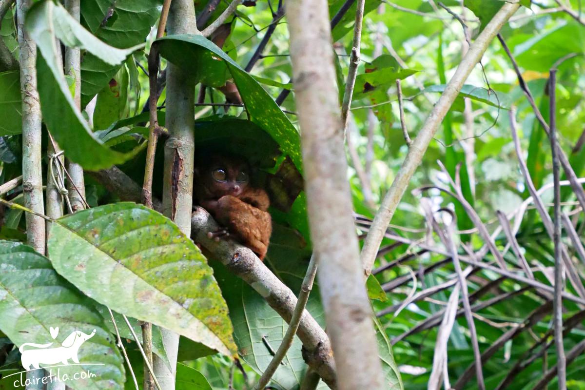 20251024-ndsz0 20251024-ndsz0