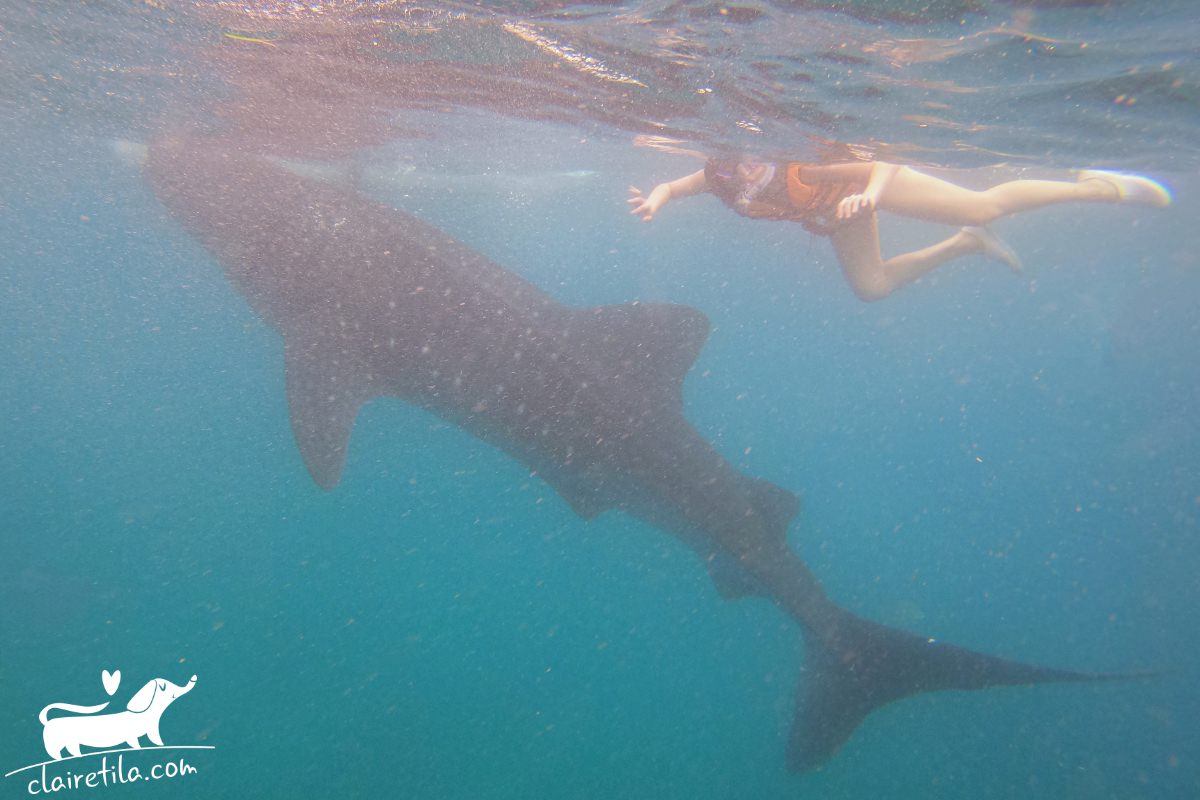 20251024-r3e6x 20251024-r3e6x