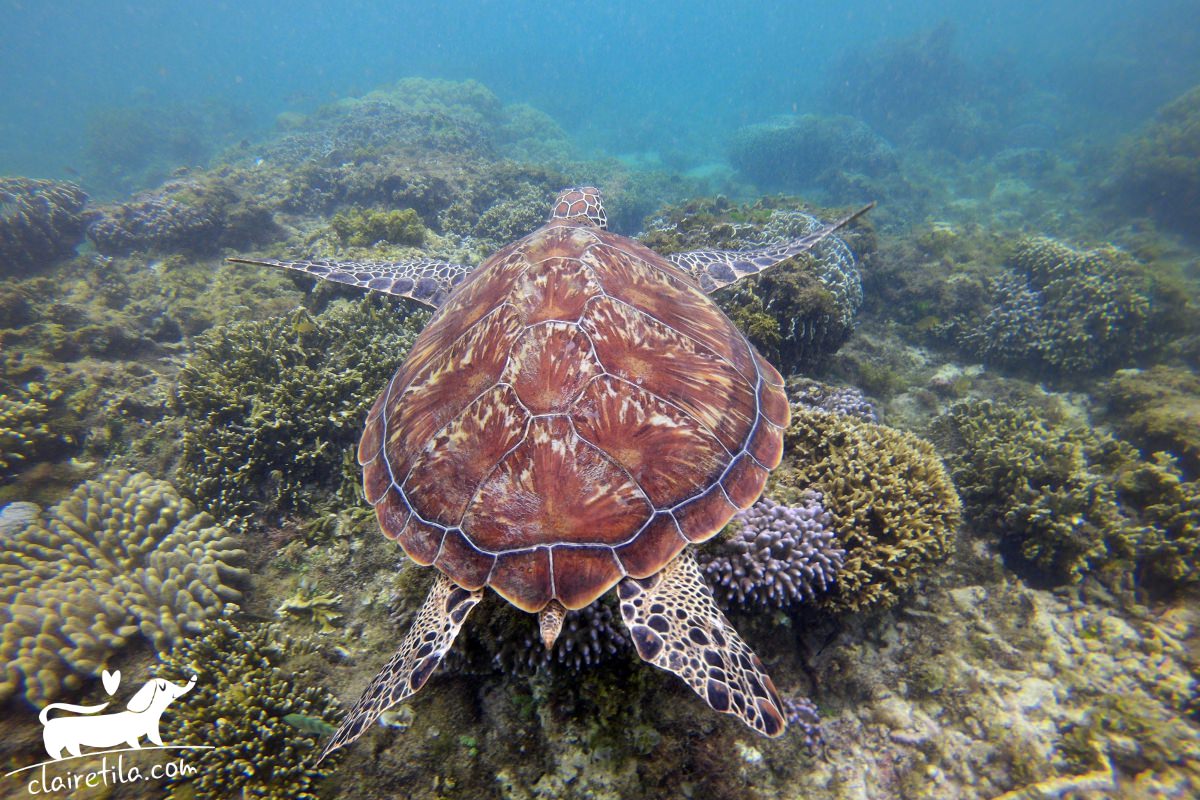 20251024-y30oj 20251024-y30oj