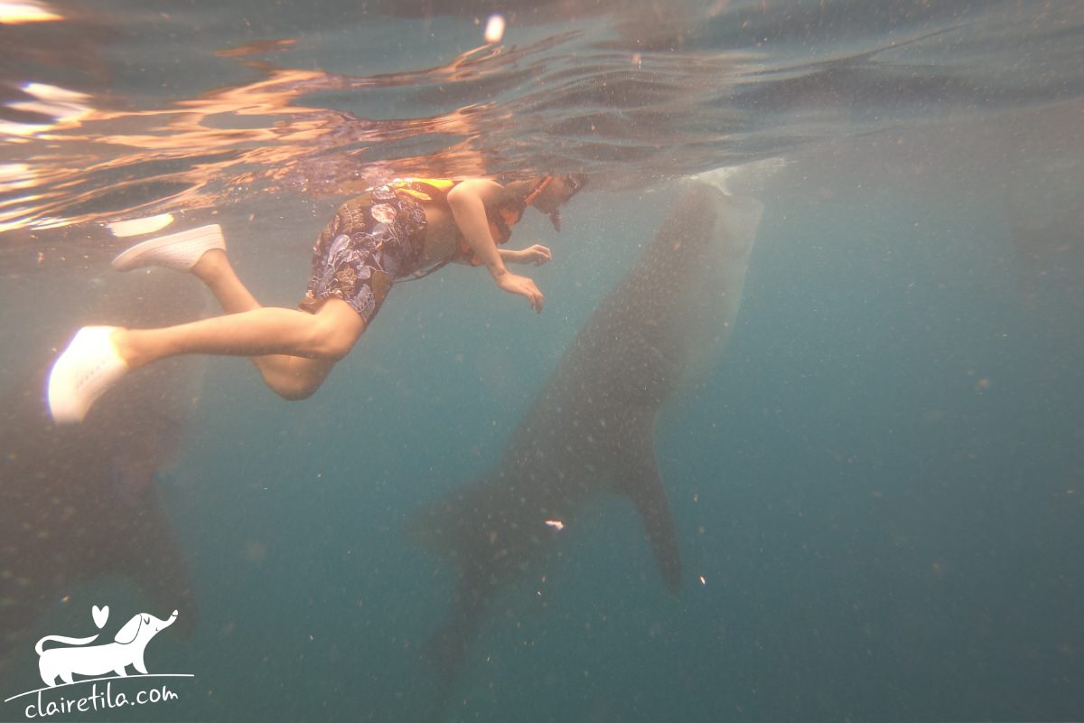 20251024-zq6kr 20251024-zq6kr