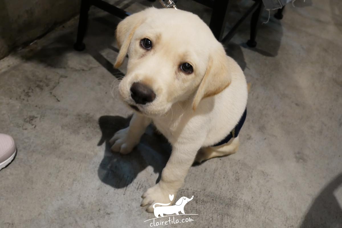 20251024-4kkpv 20251024-4kkpv