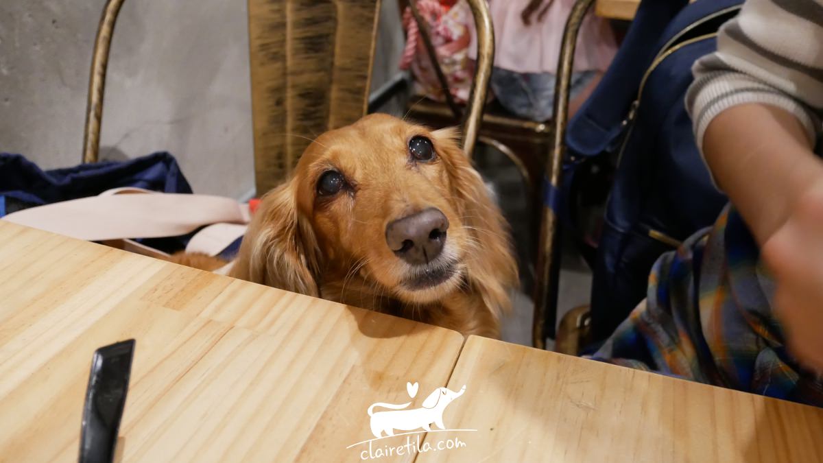 20251024-e1275 20251024-e1275