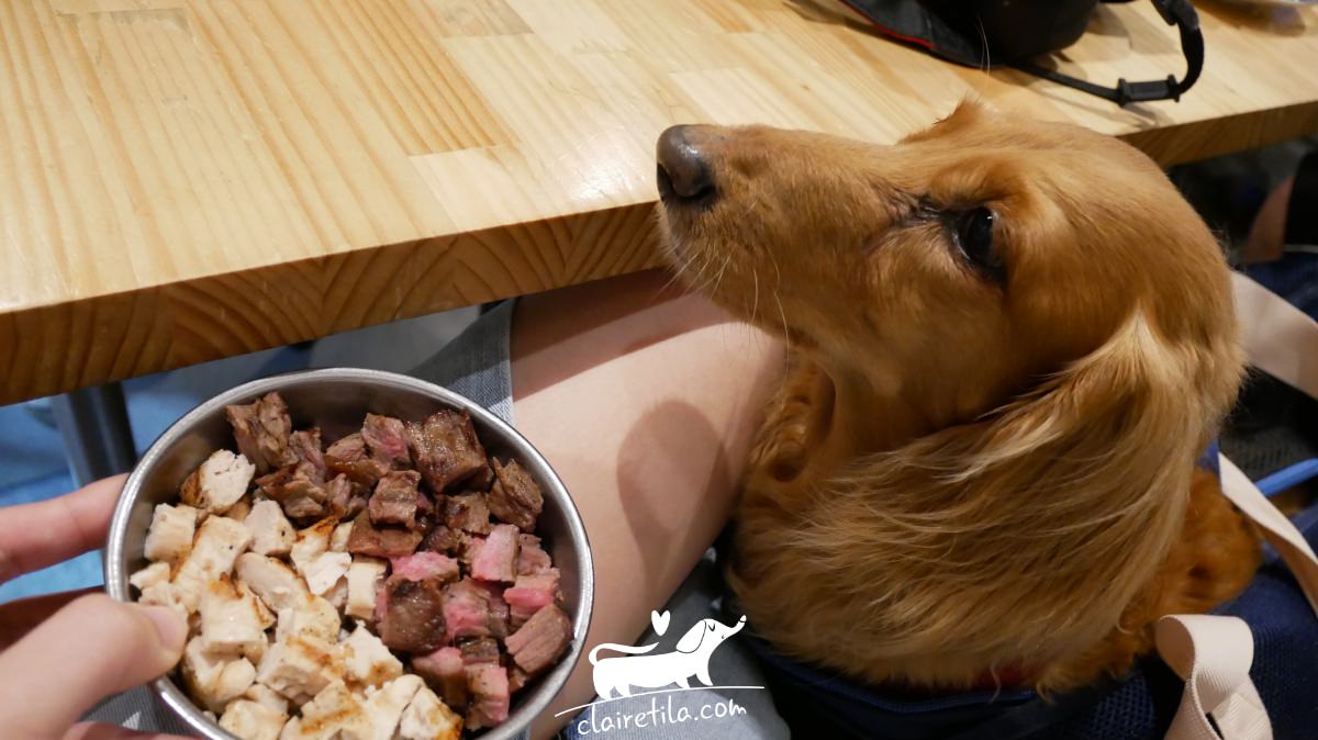 20251024-igvce 20251024-igvce