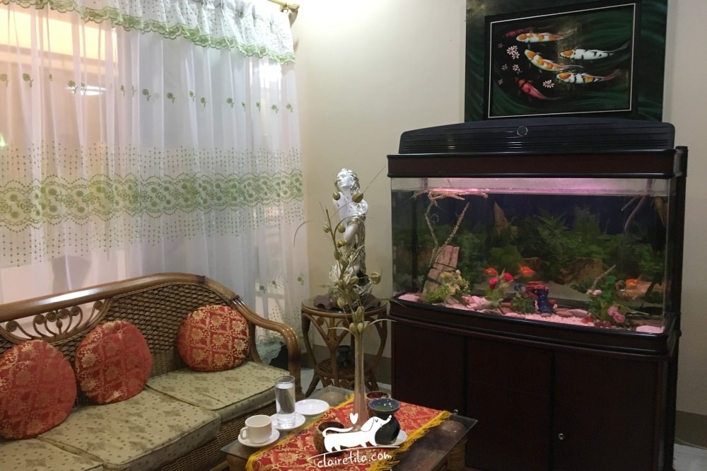 20251024-napos 20251024-napos