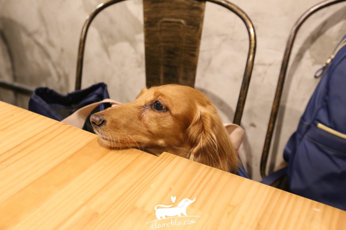 20251024-qzdqr 20251024-qzdqr