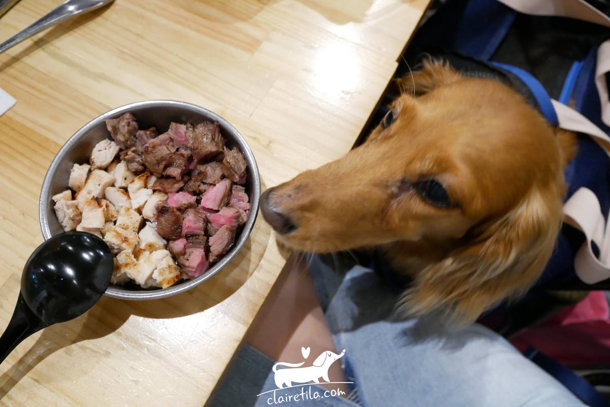 20251024-shfv5 20251024-shfv5