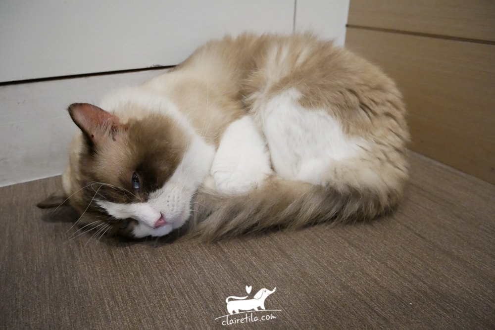 20251024-0bw0d 20251024-0bw0d