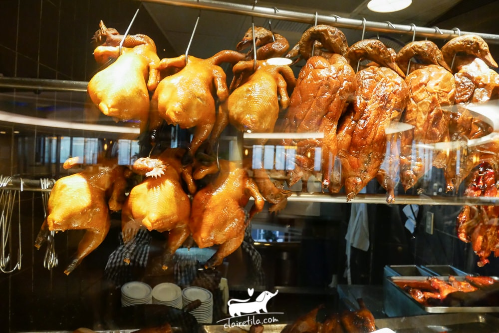 20251024-31xf8 20251024-31xf8