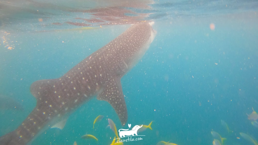 20251024-33u0j 20251024-33u0j