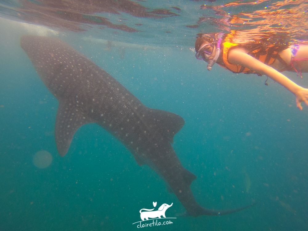 20251024-6k9ne 20251024-6k9ne