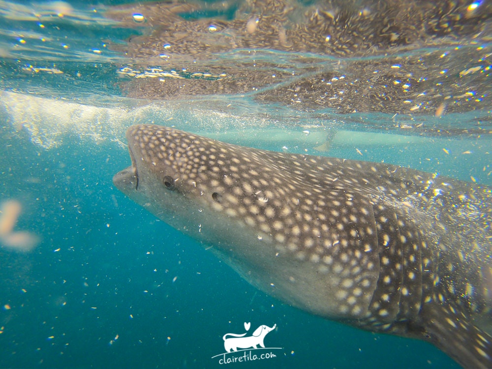 20251024-gaqnt 20251024-gaqnt