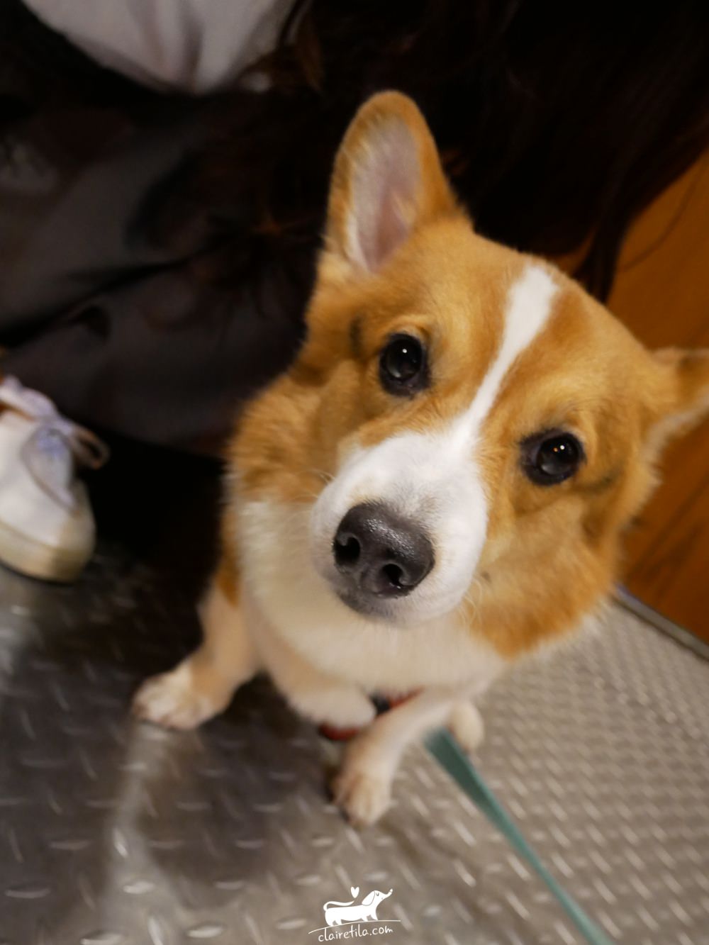 20251024-i321p 20251024-i321p