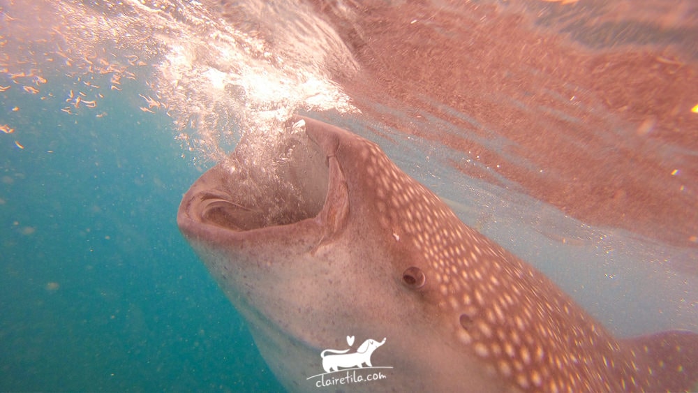 20251024-m2e4k 20251024-m2e4k