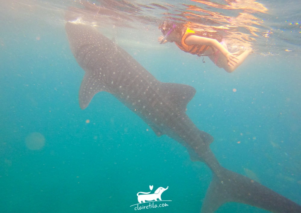 20251024-meiux 20251024-meiux