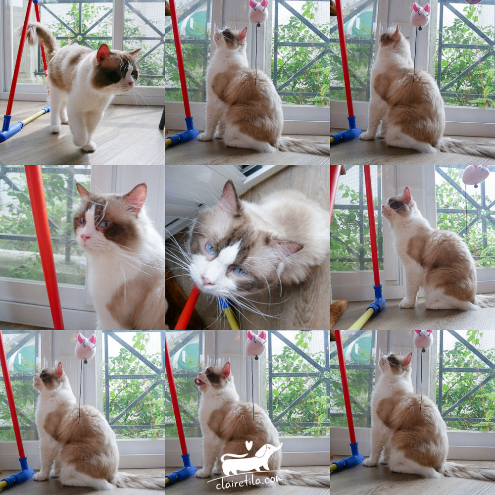 20251024-sbfms 20251024-sbfms